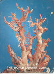 Taiwan, The World's Largest Coral_1