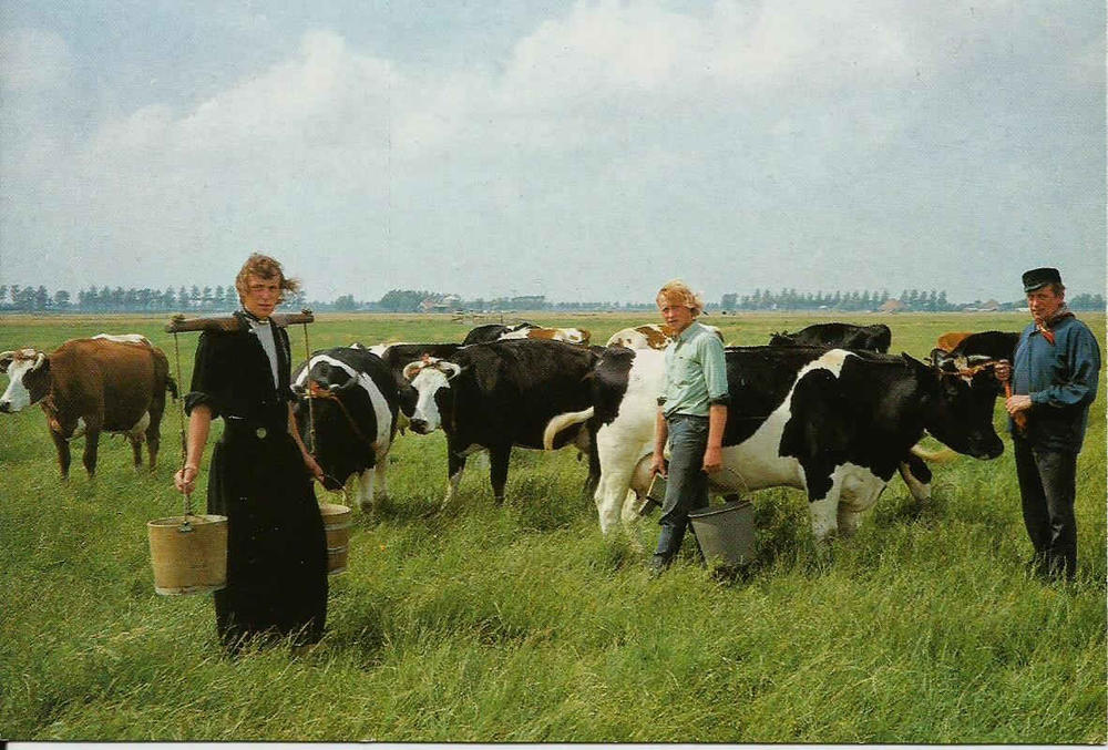 Volendam, Cheese farm 'Alida Hoeve'