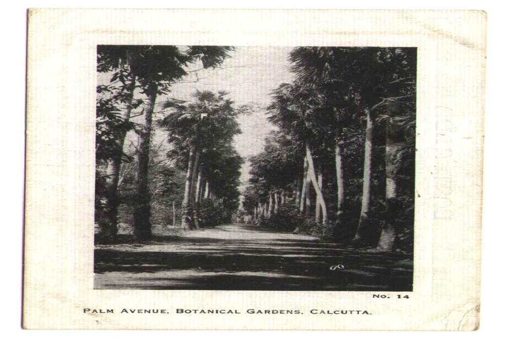 Calcutta, Palm avenue botanical gardens